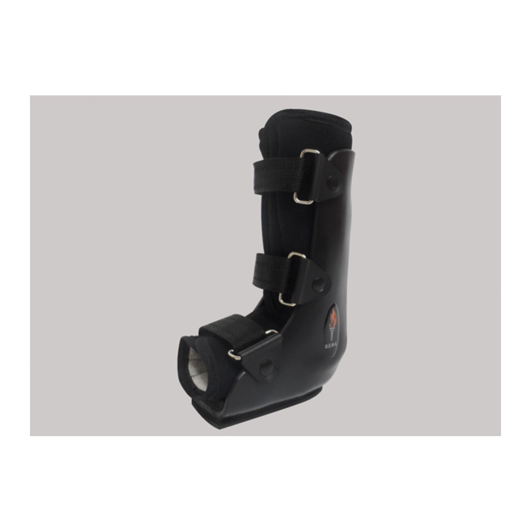 WALKER-VALVA-BOTA PREMIUM (1)